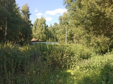 Земельный участок.Общий вид объекта.город Москва, внутригородская территория поселение Первомайское, деревня Конюшково, земельный участок 39А _8.jpg