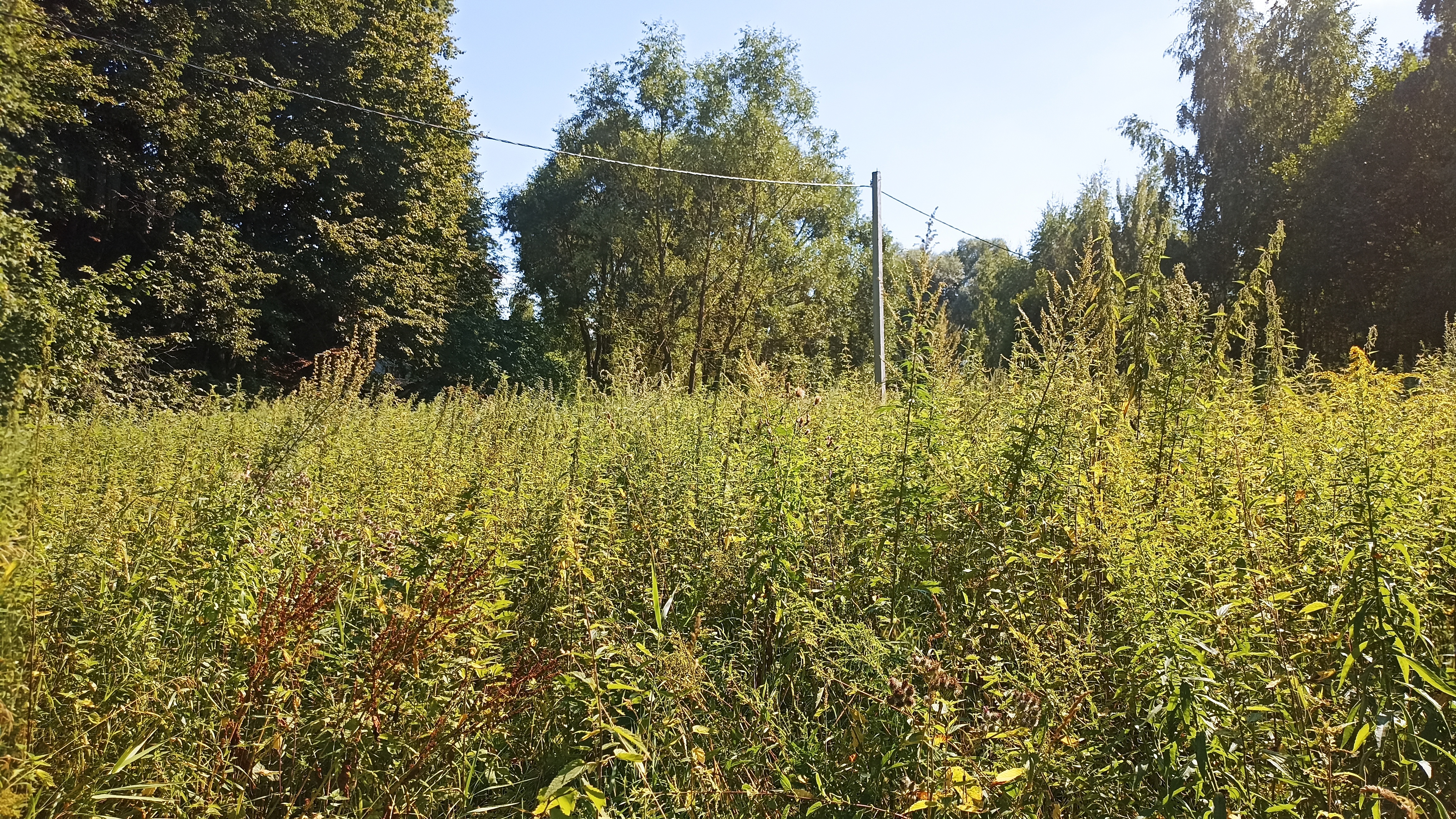 Земельный участок.Общий вид объекта.город Москва, внутригородская территория поселение Первомайское, деревня Конюшково, земельный участок 39А _6.jpg