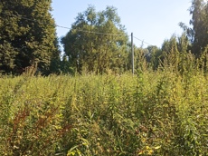 Земельный участок.Общий вид объекта.город Москва, внутригородская территория поселение Первомайское, деревня Конюшково, земельный участок 39А _6.jpg