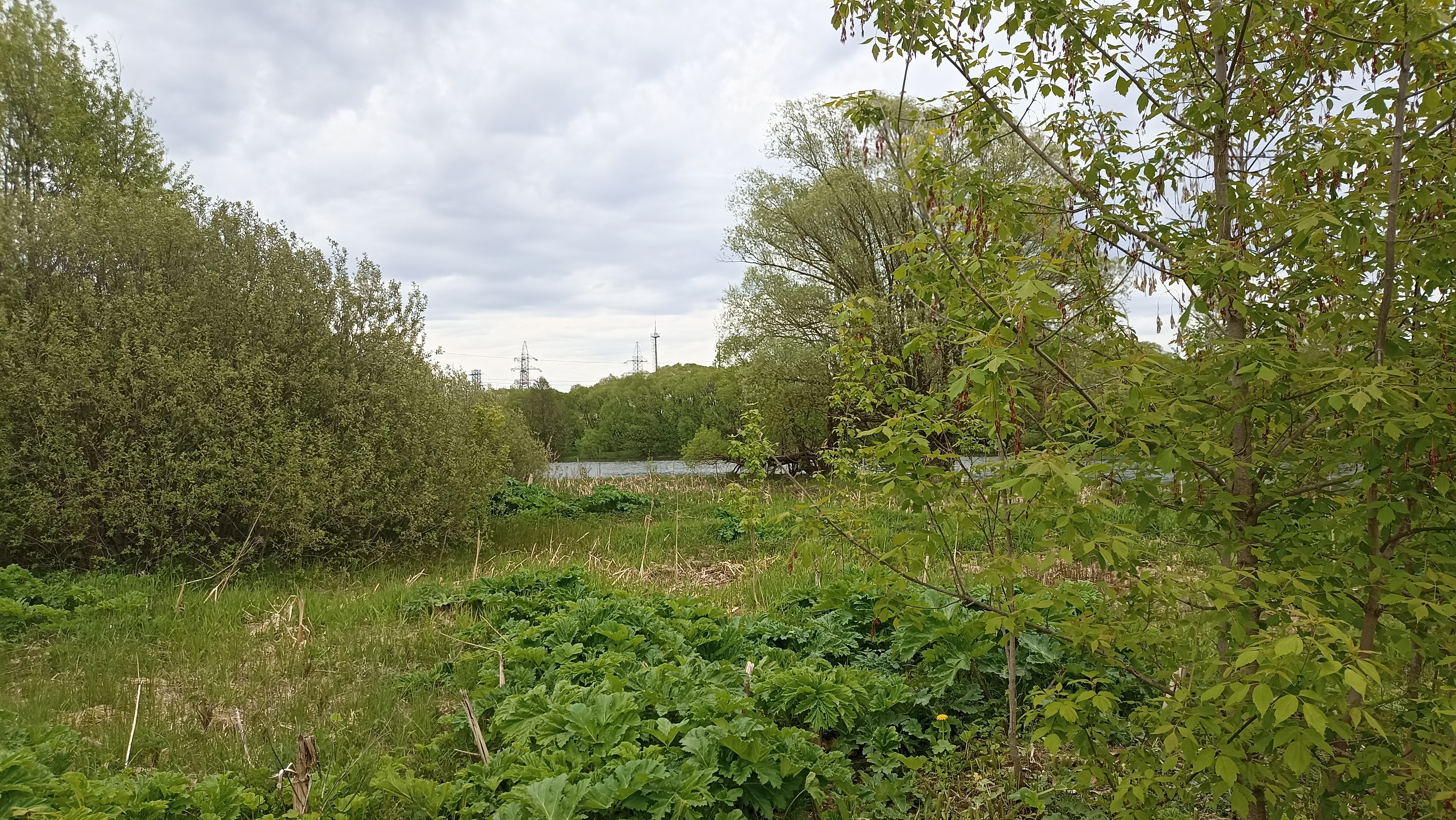 Земельный участок.Общий вид объекта.Российская Федерация, город Москва, внутригородская территория поселение Щаповское, деревня Песье, Прудная улица, земельный участок 7А_9.jpg