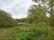 Земельный участок.Общий вид объекта.Российская Федерация, город Москва, внутригородская территория поселение Щаповское, деревня Песье, Прудная улица, земельный участок 7А_9.jpg