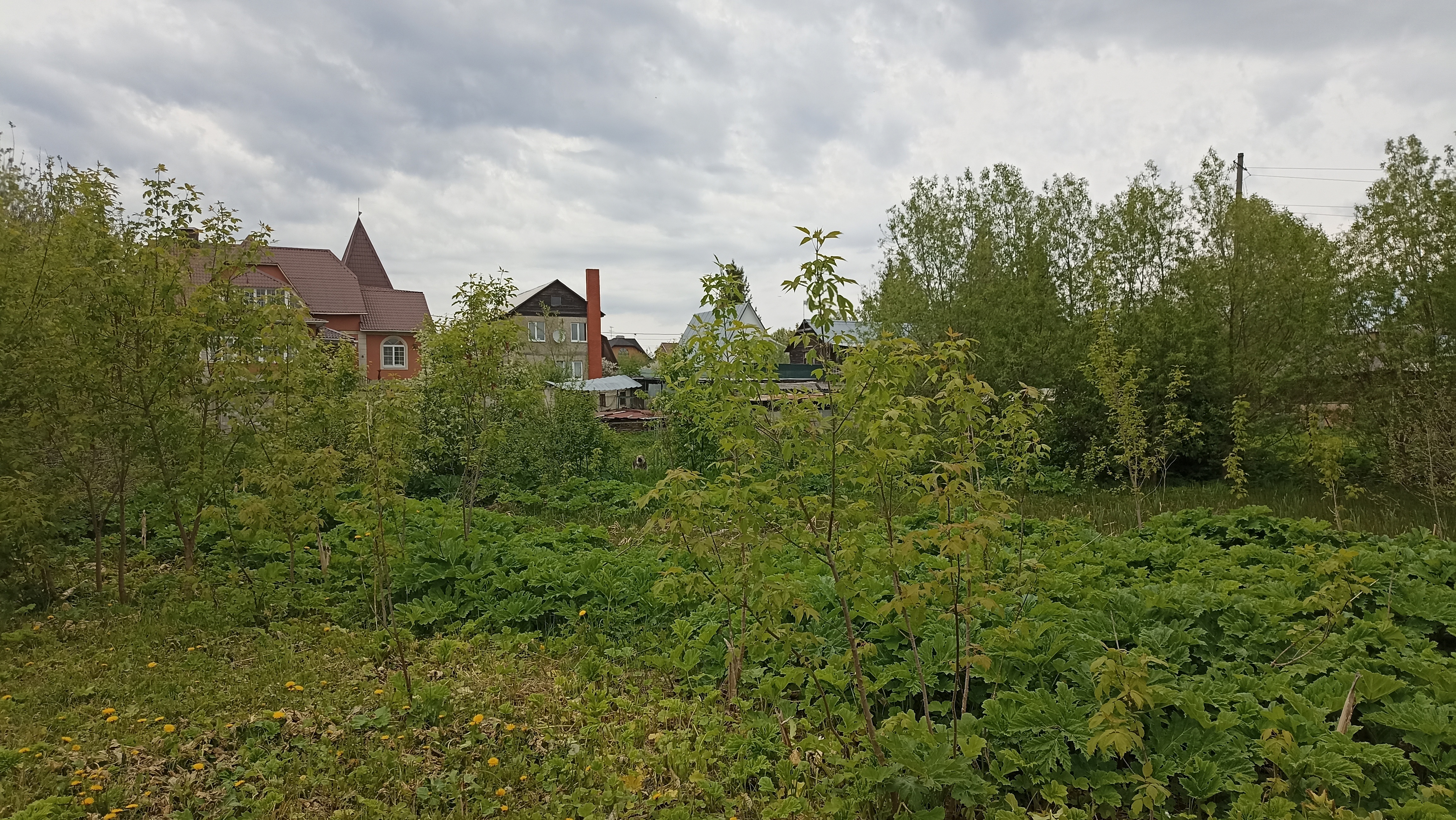 Земельный участок.Общий вид объекта.Российская Федерация, город Москва, внутригородская территория поселение Щаповское, деревня Песье, Прудная улица, земельный участок 7А_10.jpg