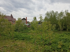 Земельный участок.Общий вид объекта.Российская Федерация, город Москва, внутригородская территория поселение Щаповское, деревня Песье, Прудная улица, земельный участок 7А_10.jpg