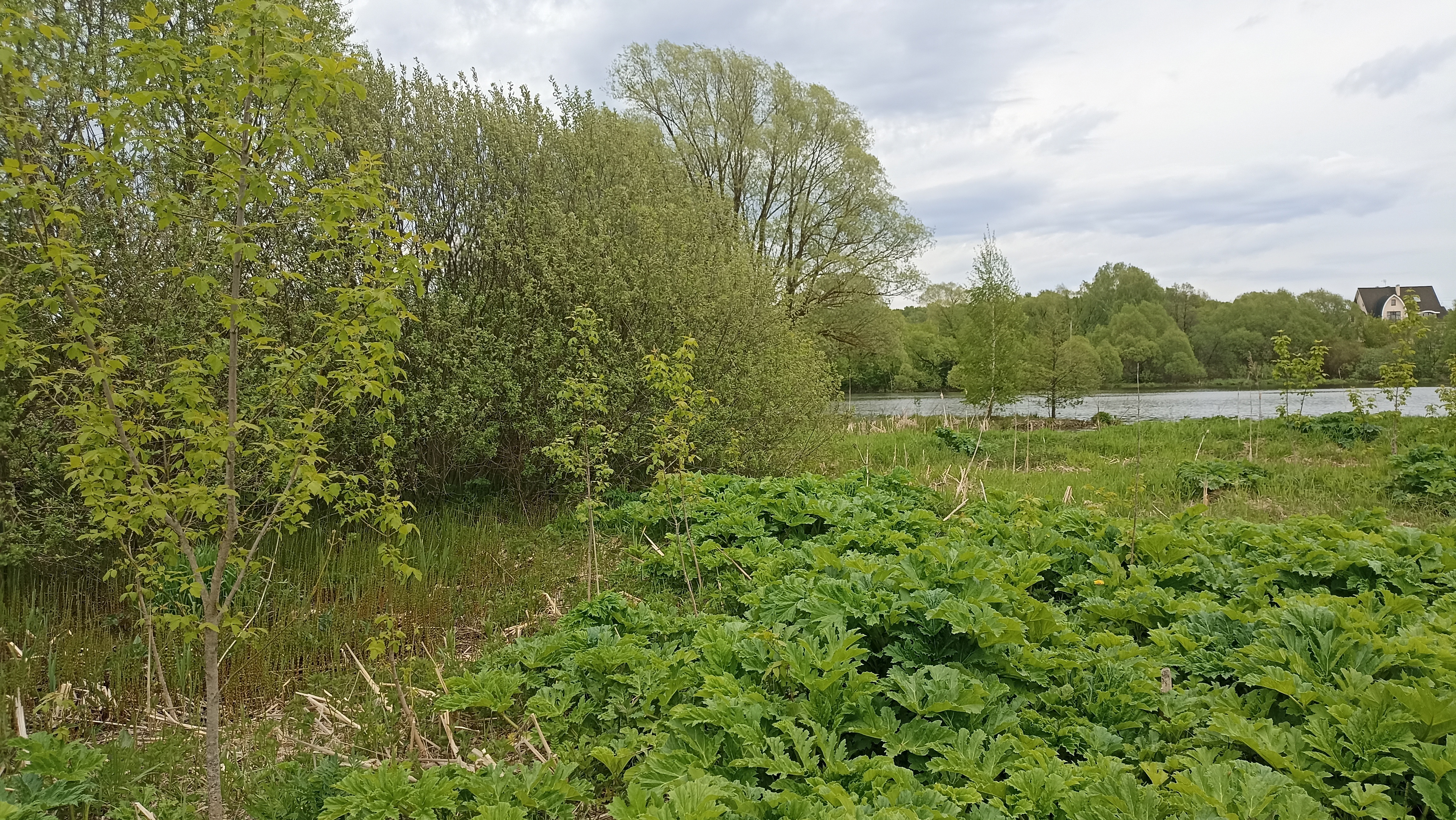 Земельный участок.Общий вид объекта.Российская Федерация, город Москва, внутригородская территория поселение Щаповское, деревня Песье, Прудная улица, земельный участок 7А_7.jpg