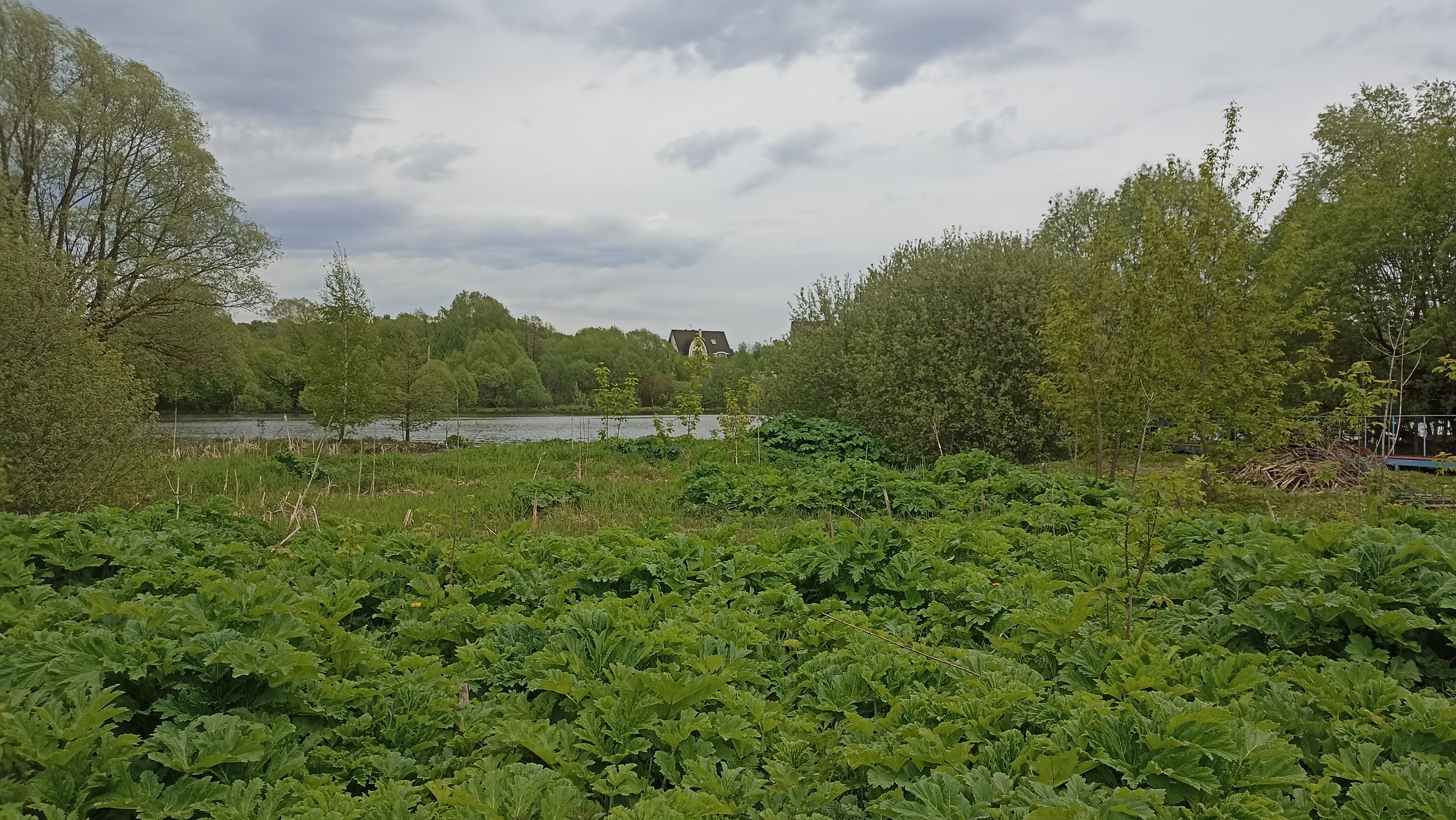 Земельный участок.Общий вид объекта.Российская Федерация, город Москва, внутригородская территория поселение Щаповское, деревня Песье, Прудная улица, земельный участок 7А_6.jpg