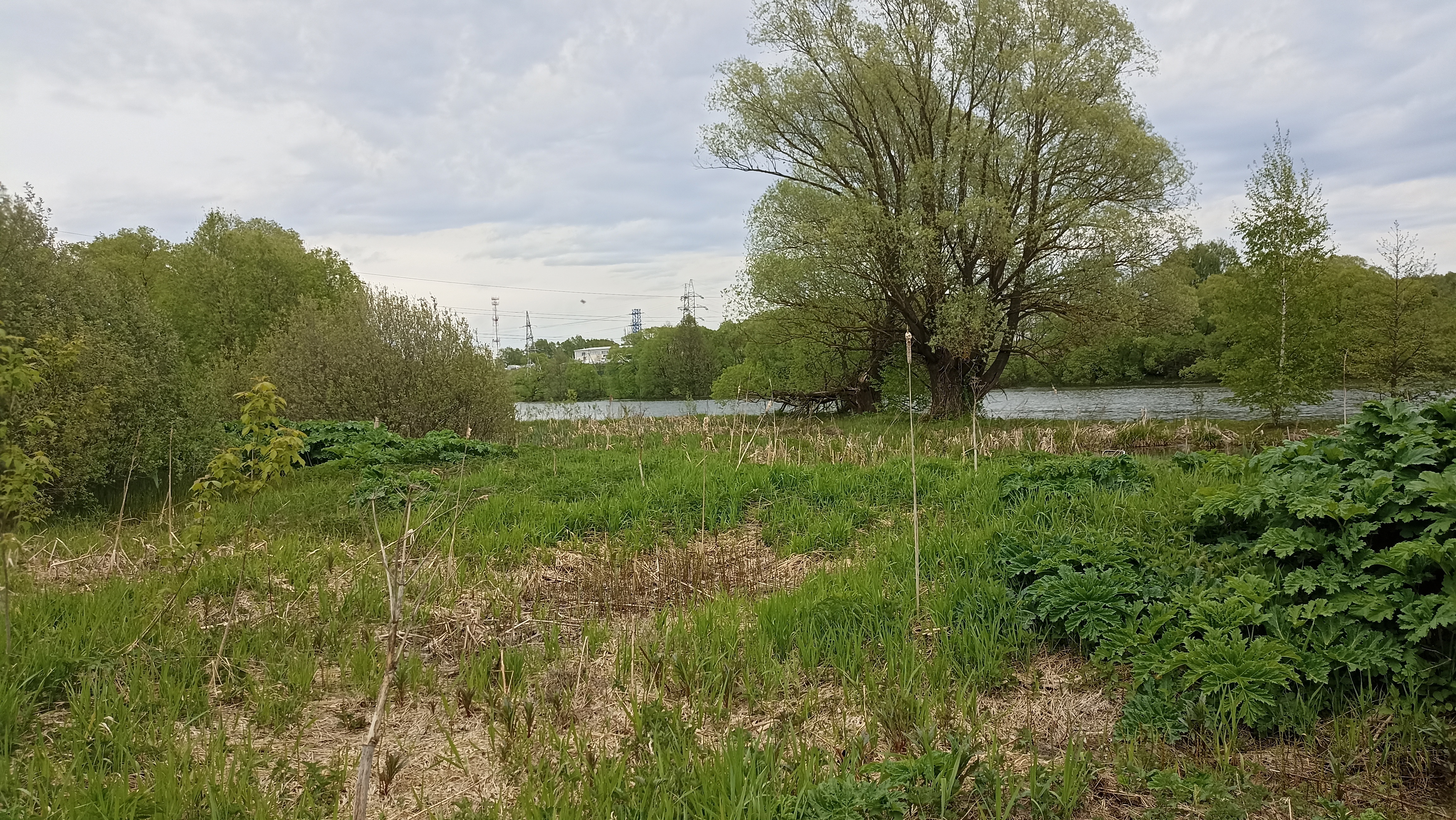 Земельный участок.Общий вид объекта.Российская Федерация, город Москва, внутригородская территория поселение Щаповское, деревня Песье, Прудная улица, земельный участок 7А_11.jpg