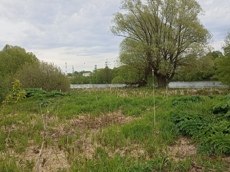 Земельный участок.Общий вид объекта.Российская Федерация, город Москва, внутригородская территория поселение Щаповское, деревня Песье, Прудная улица, земельный участок 7А_11.jpg