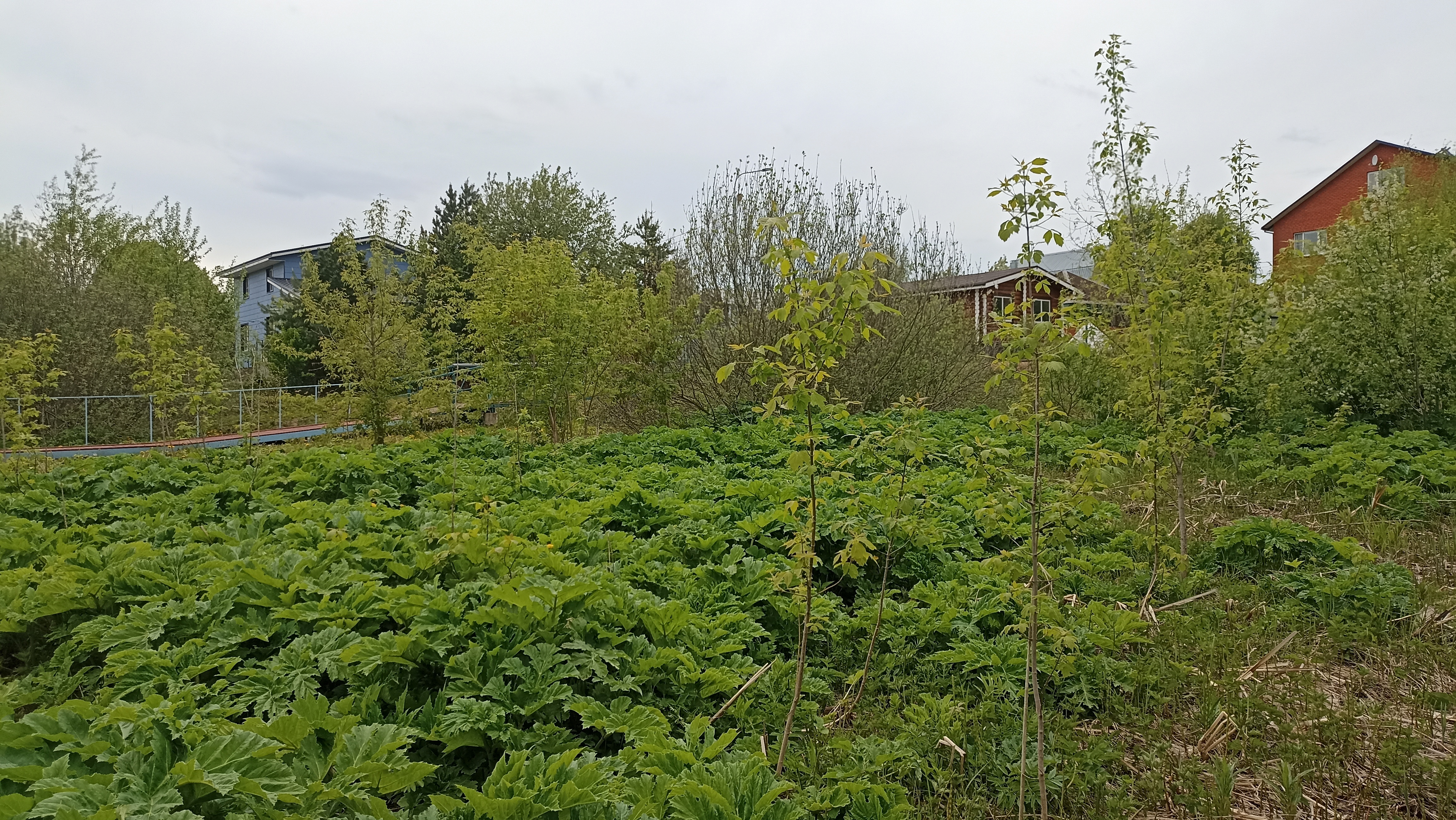 Земельный участок.Общий вид объекта.Российская Федерация, город Москва, внутригородская территория поселение Щаповское, деревня Песье, Прудная улица, земельный участок 7А_4.jpg