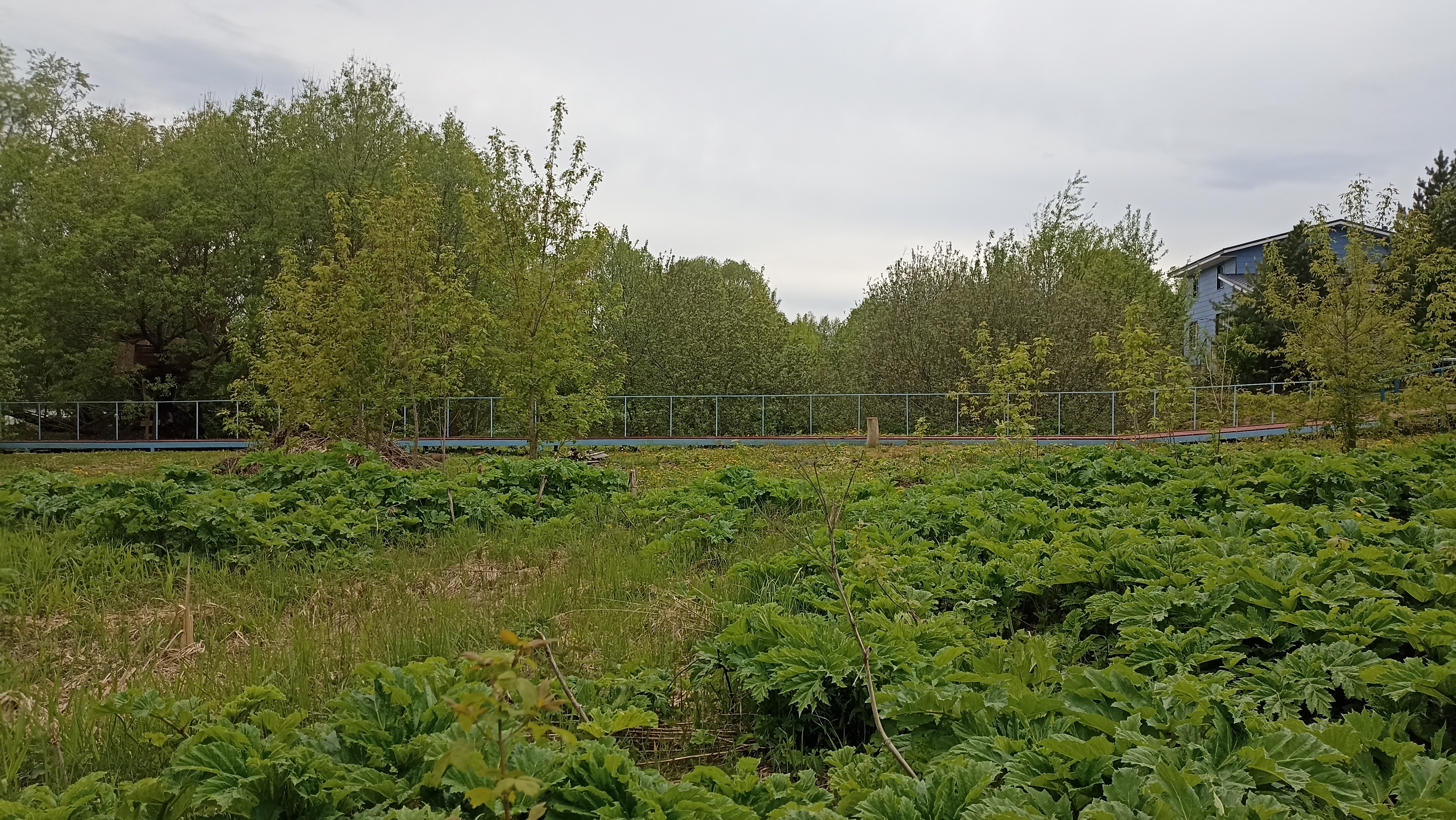 Земельный участок.Общий вид объекта.Российская Федерация, город Москва, внутригородская территория поселение Щаповское, деревня Песье, Прудная улица, земельный участок 7А_3.jpg