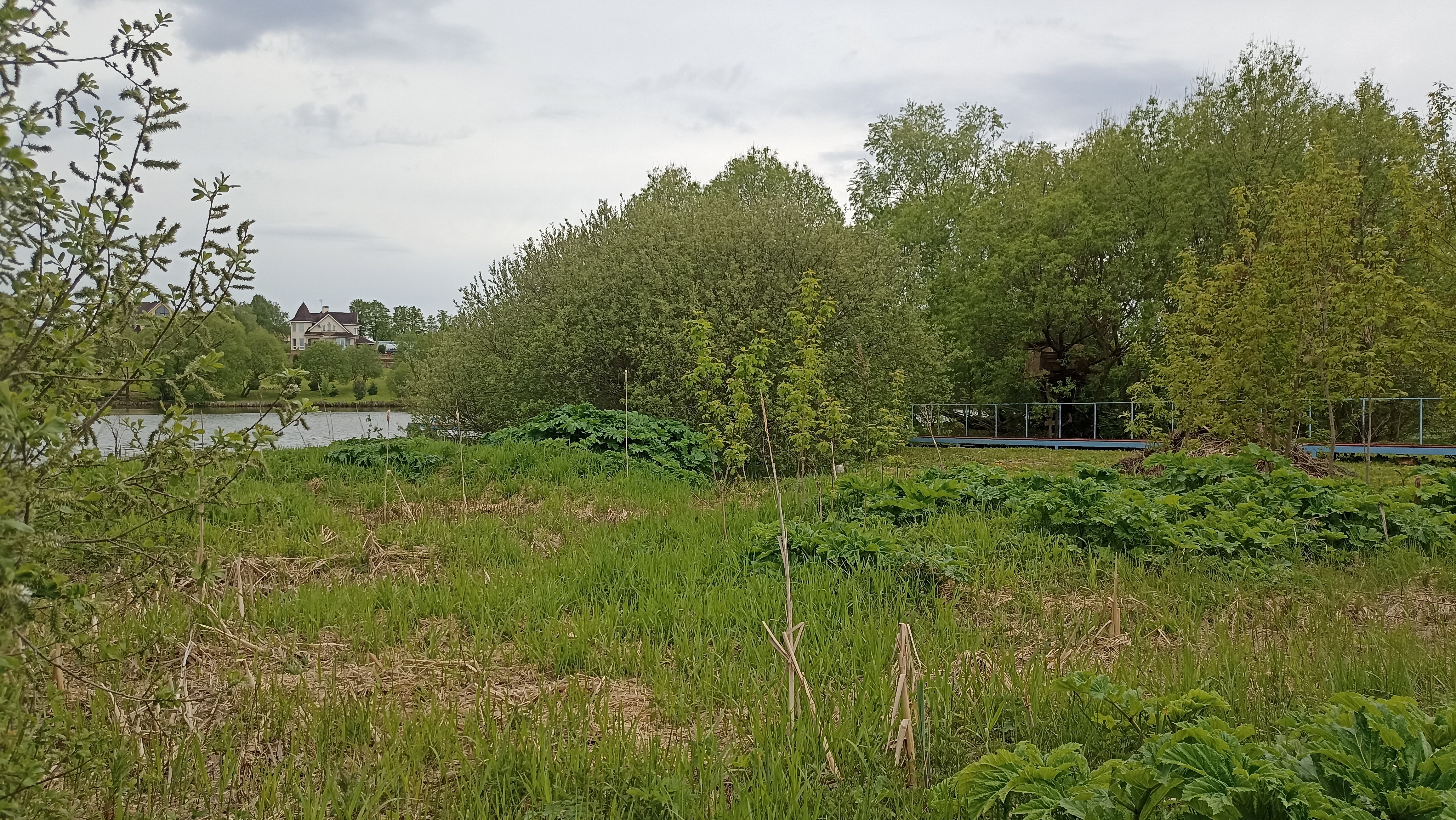 Земельный участок.Общий вид объекта.Российская Федерация, город Москва, внутригородская территория поселение Щаповское, деревня Песье, Прудная улица, земельный участок 7А_2.jpg