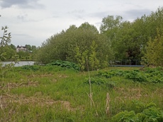 Земельный участок.Общий вид объекта.Российская Федерация, город Москва, внутригородская территория поселение Щаповское, деревня Песье, Прудная улица, земельный участок 7А_2.jpg