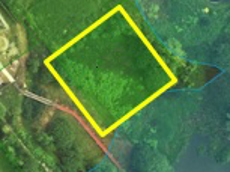 Земельный участок.План объекта.Российская Федерация, город Москва, внутригородская территория поселение Щаповское, деревня Песье, Прудная улица, земельный участок 7А.jpg