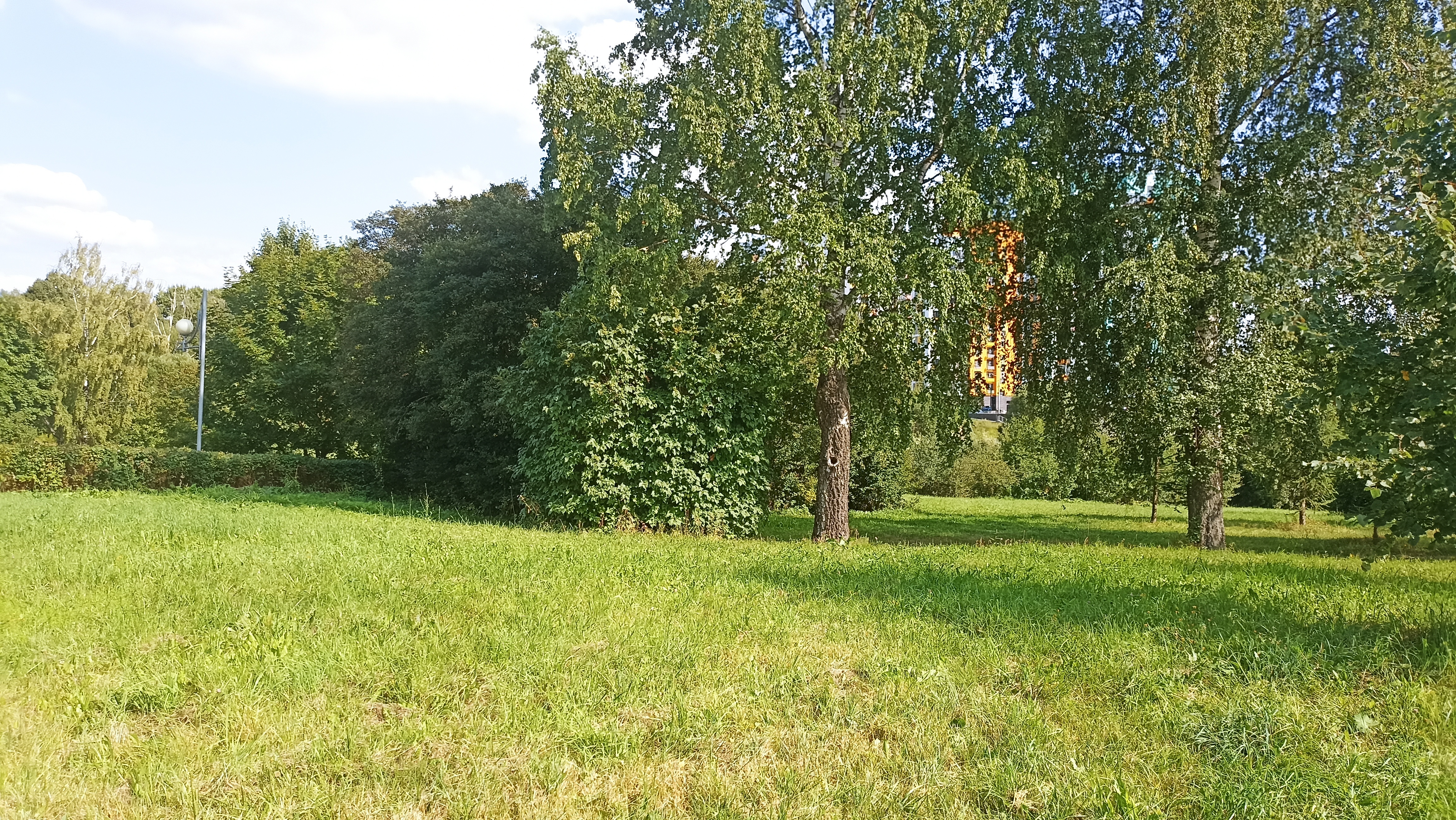 ГП16913456.Земельный участок.Общий вид объекта_5.jpg