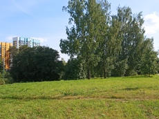 ГП16913456.Земельный участок.Общий вид объекта_8.jpg