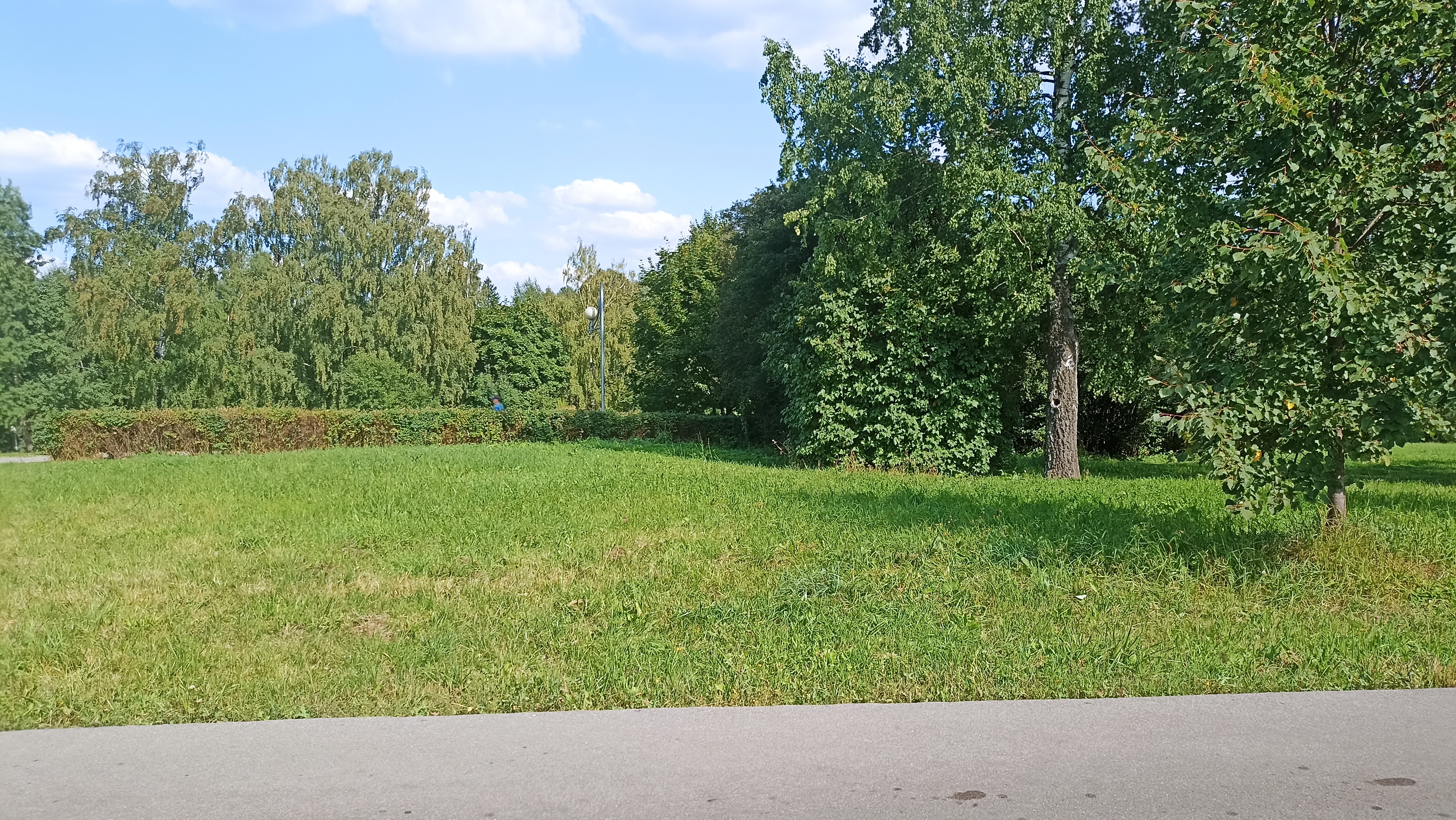 ГП16913456.Земельный участок.Общий вид объекта_2.jpg