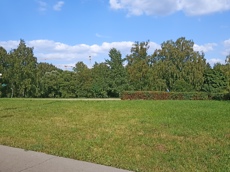 ГП16913456.Земельный участок.Общий вид объекта_3.jpg