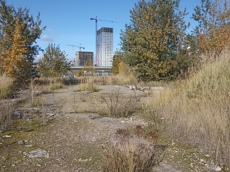 ГП16914827.Земельный участок.Общий вид объекта_9.jpg
