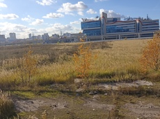 ГП16914827.Земельный участок.Общий вид объекта_7.jpg