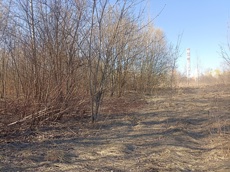 ГП16915586.Земельный участок.Общий вид объекта_10.jpg
