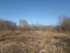 ГП16915586.Земельный участок.Общий вид объекта_2.jpg