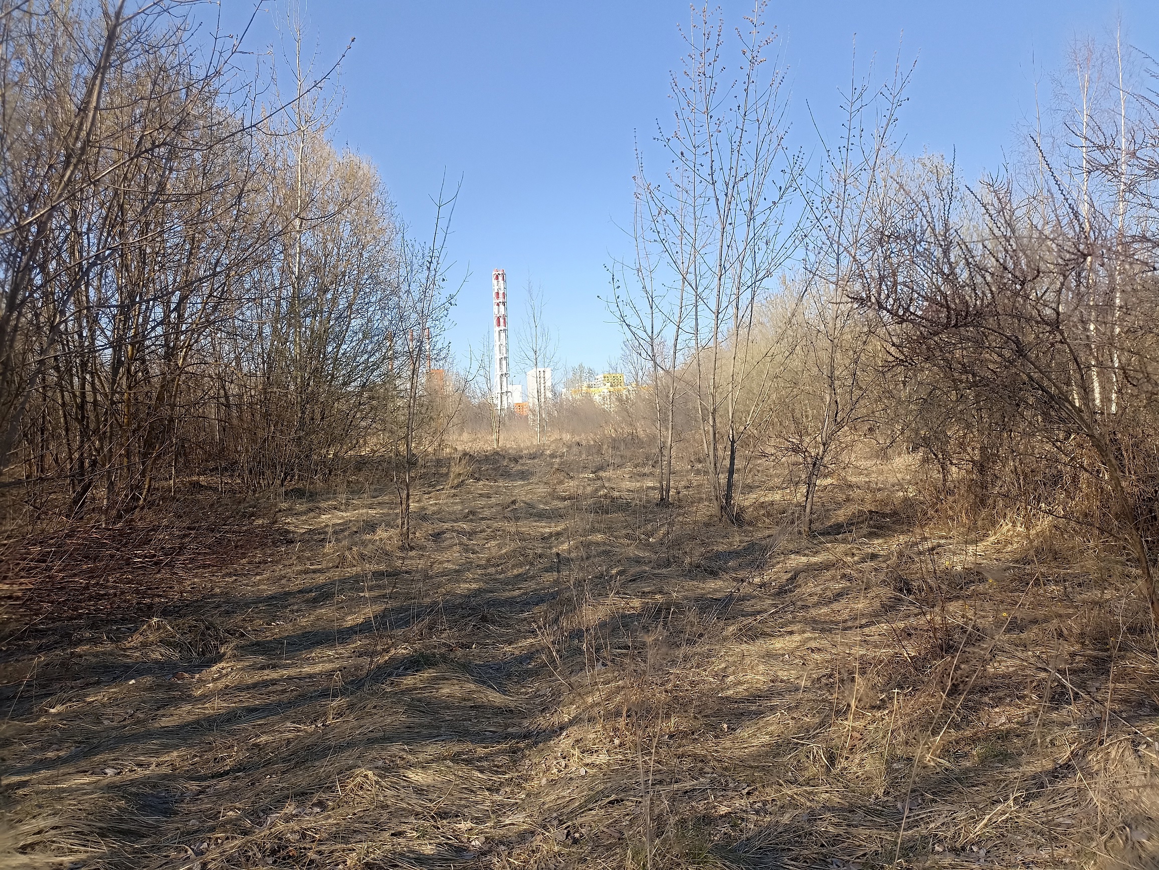 ГП16915586.Земельный участок.Общий вид объекта_10.jpg