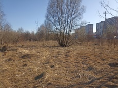 ГП16915586.Земельный участок.Общий вид объекта.jpg