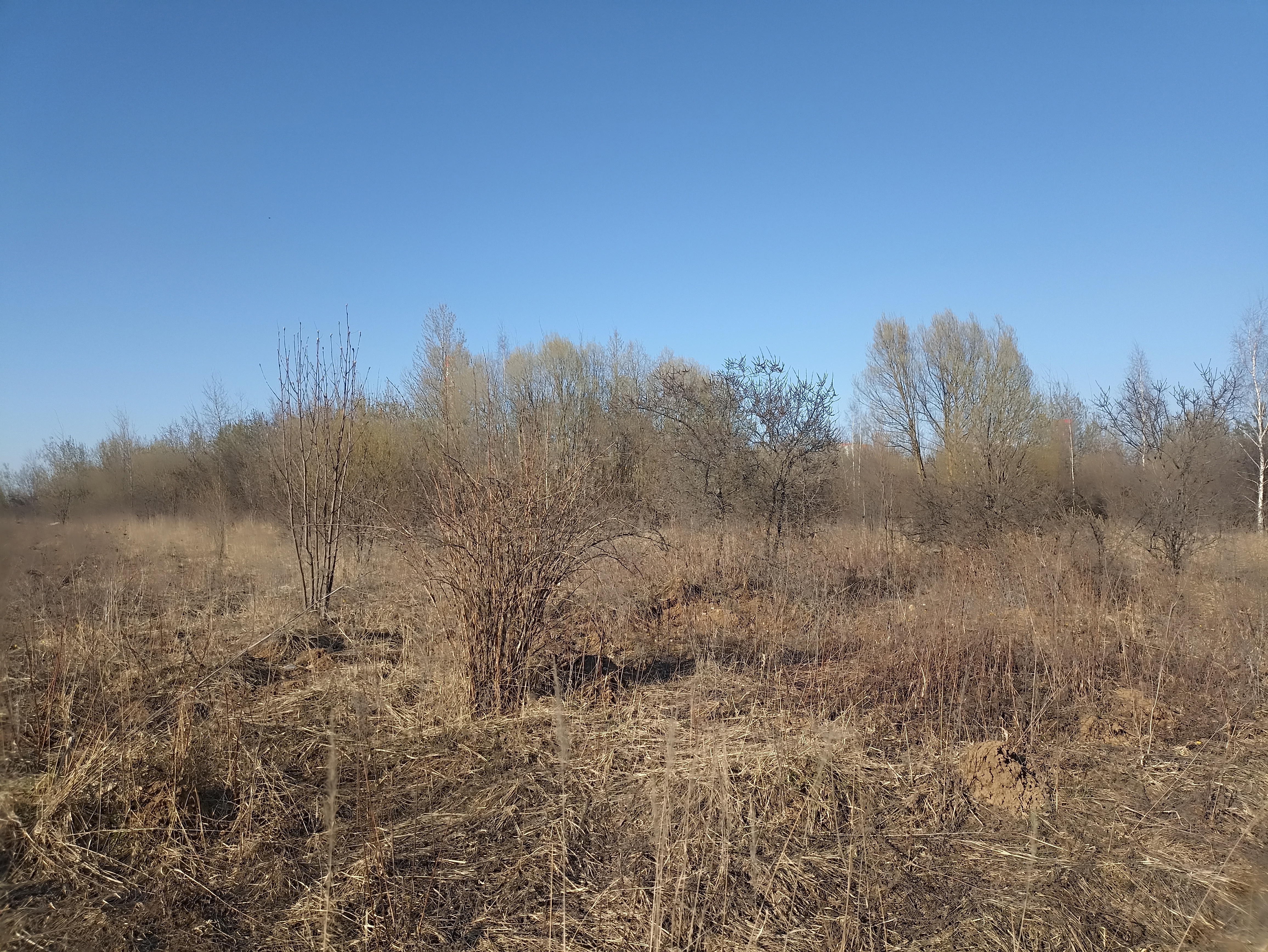 ГП16915586.Земельный участок.Общий вид объекта_3.jpg