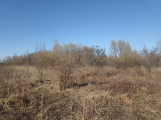 ГП16915586.Земельный участок.Общий вид объекта_3.jpg