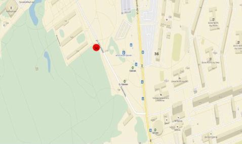 ГП16837225.Нестационарный объект_Киоск.Участок, на котором размещается объект.JPG