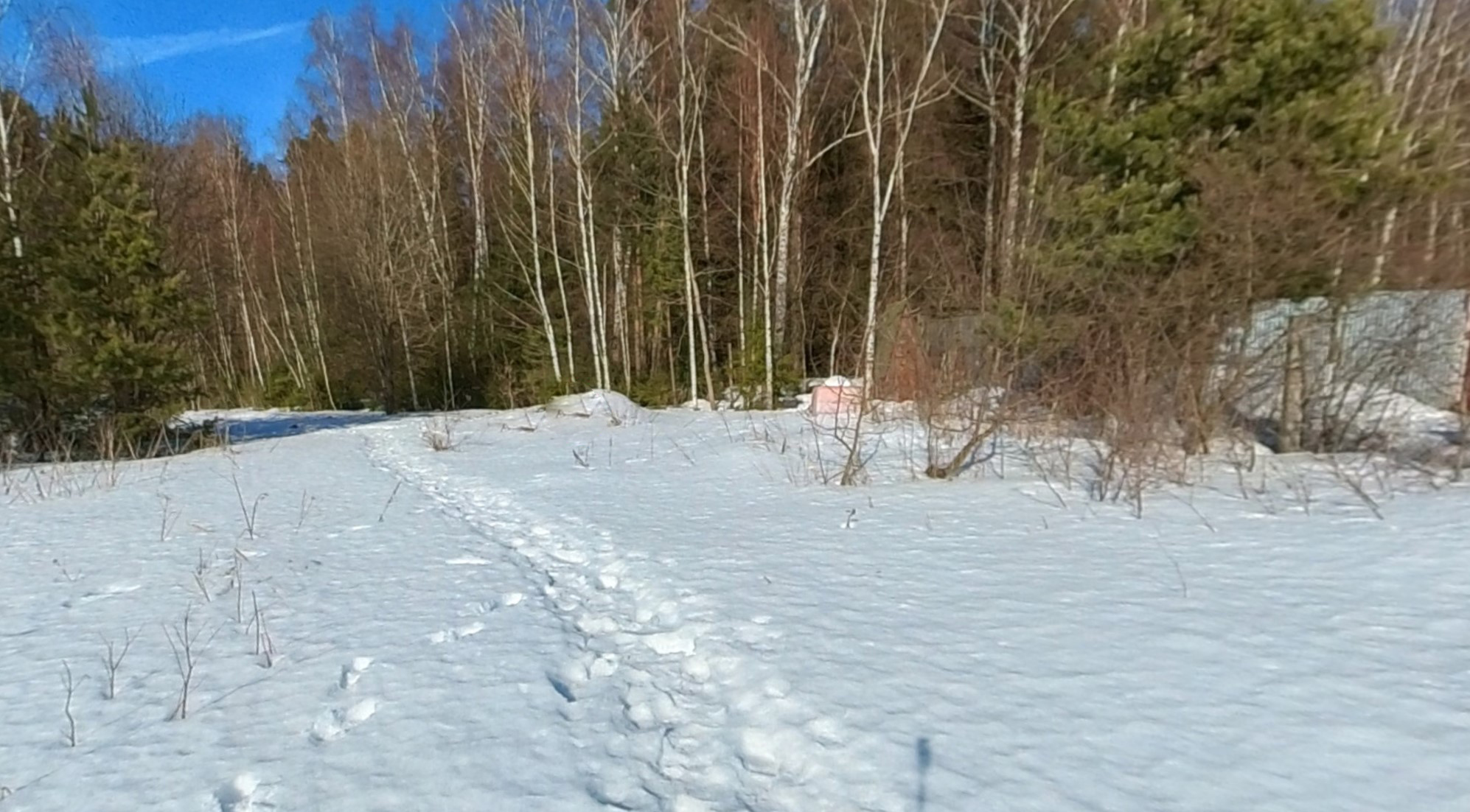 ГП16869210.Земельный участок.Общий вид объекта_4.jpg