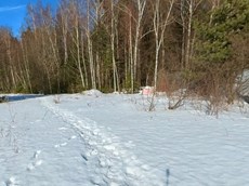 ГП16869210.Земельный участок.Общий вид объекта_4.jpg