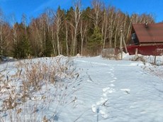 ГП16869210.Земельный участок.Общий вид объекта_7.jpg