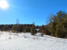 ГП16869210.Земельный участок.Общий вид объекта_2.jpg
