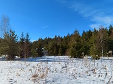 ГП16869210.Земельный участок.Общий вид объекта_5.jpg