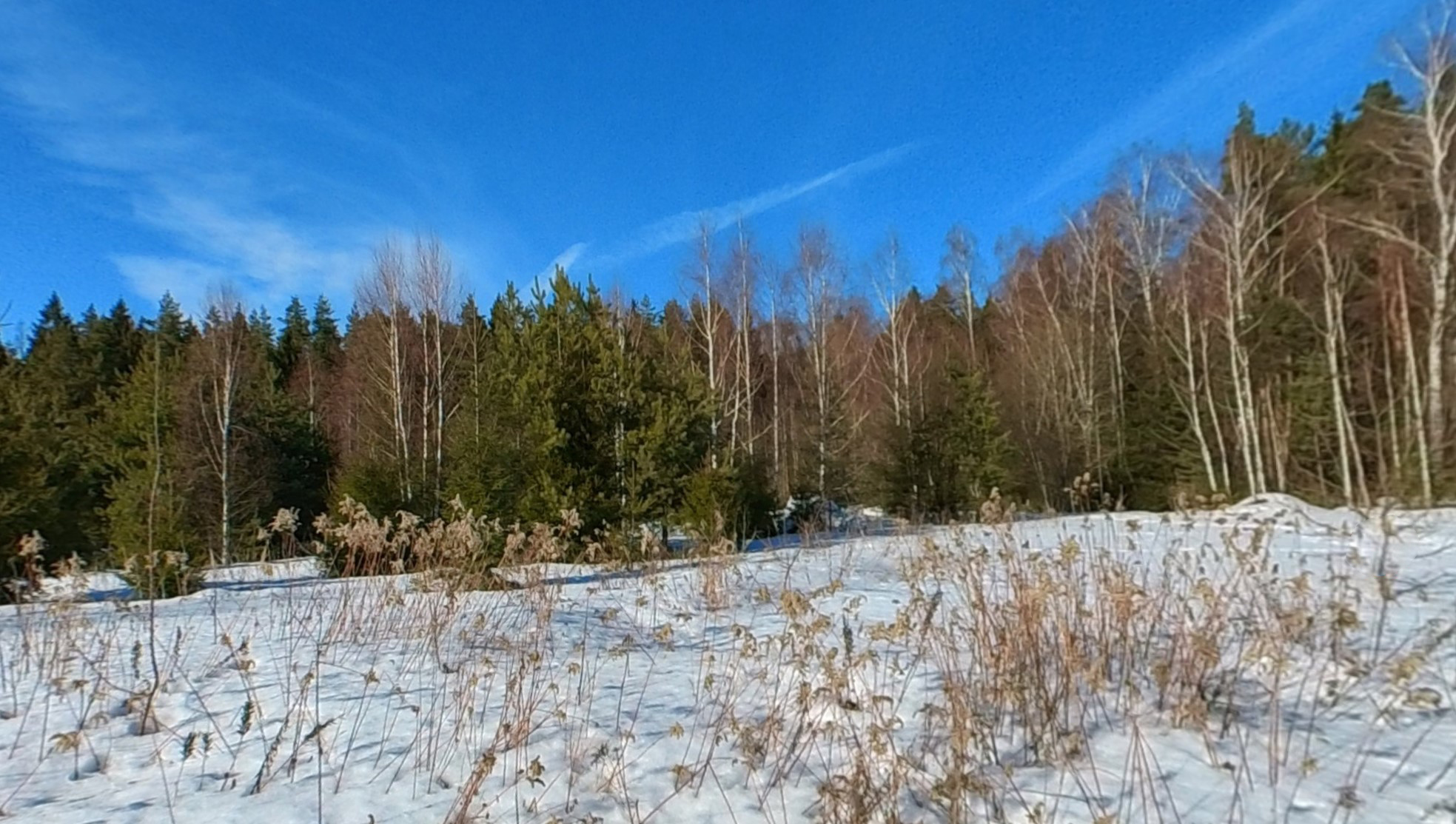 ГП16869210.Земельный участок.Общий вид объекта_6.jpg