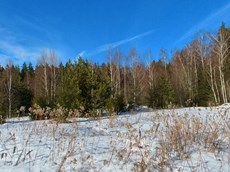 ГП16869210.Земельный участок.Общий вид объекта_6.jpg