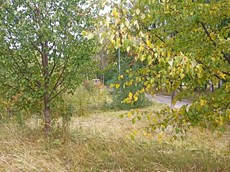 ГП16914822.Земельный участок.Общий вид объекта_4.jpg