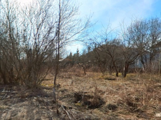 ГП16927590.Земельный участок.Общий вид объекта_9.jpg