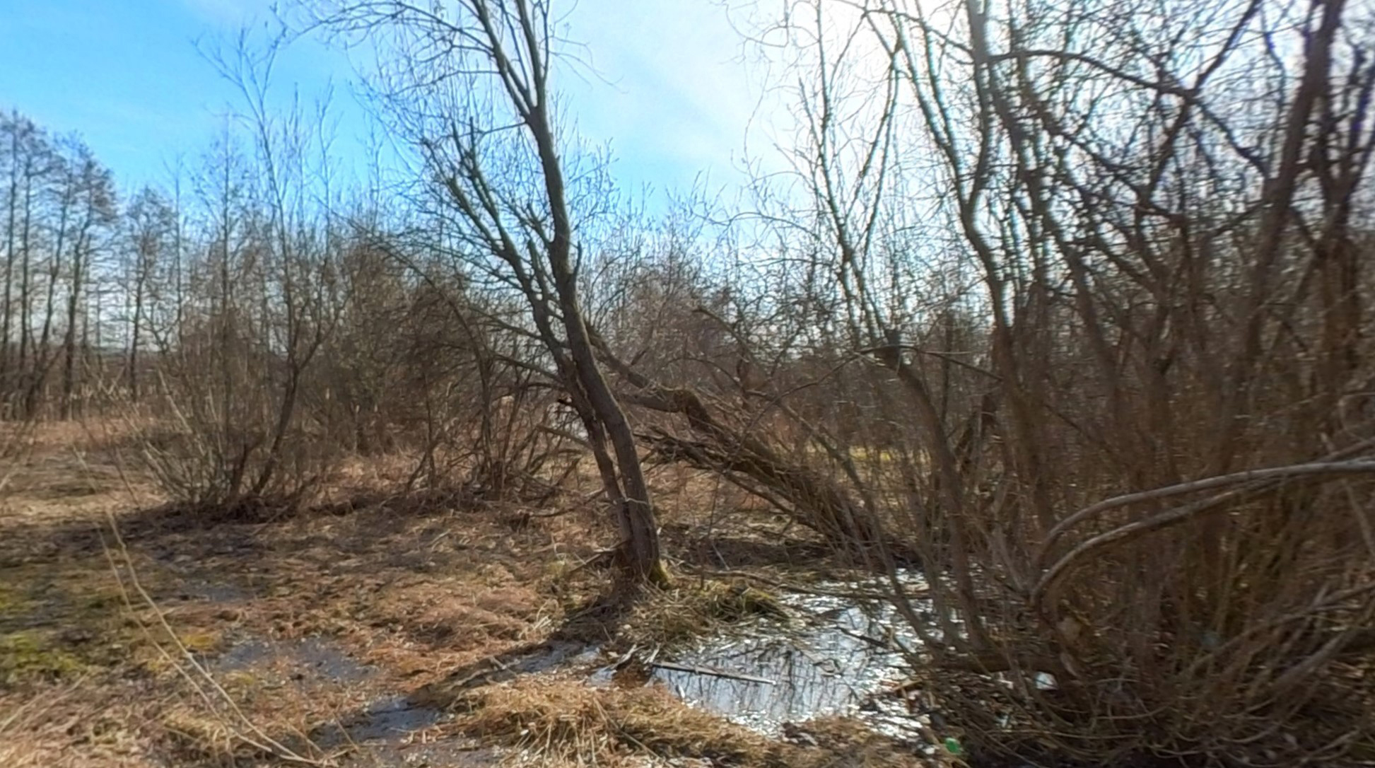 ГП16927590.Земельный участок.Общий вид объекта_7.jpg