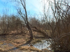 ГП16927590.Земельный участок.Общий вид объекта_7.jpg