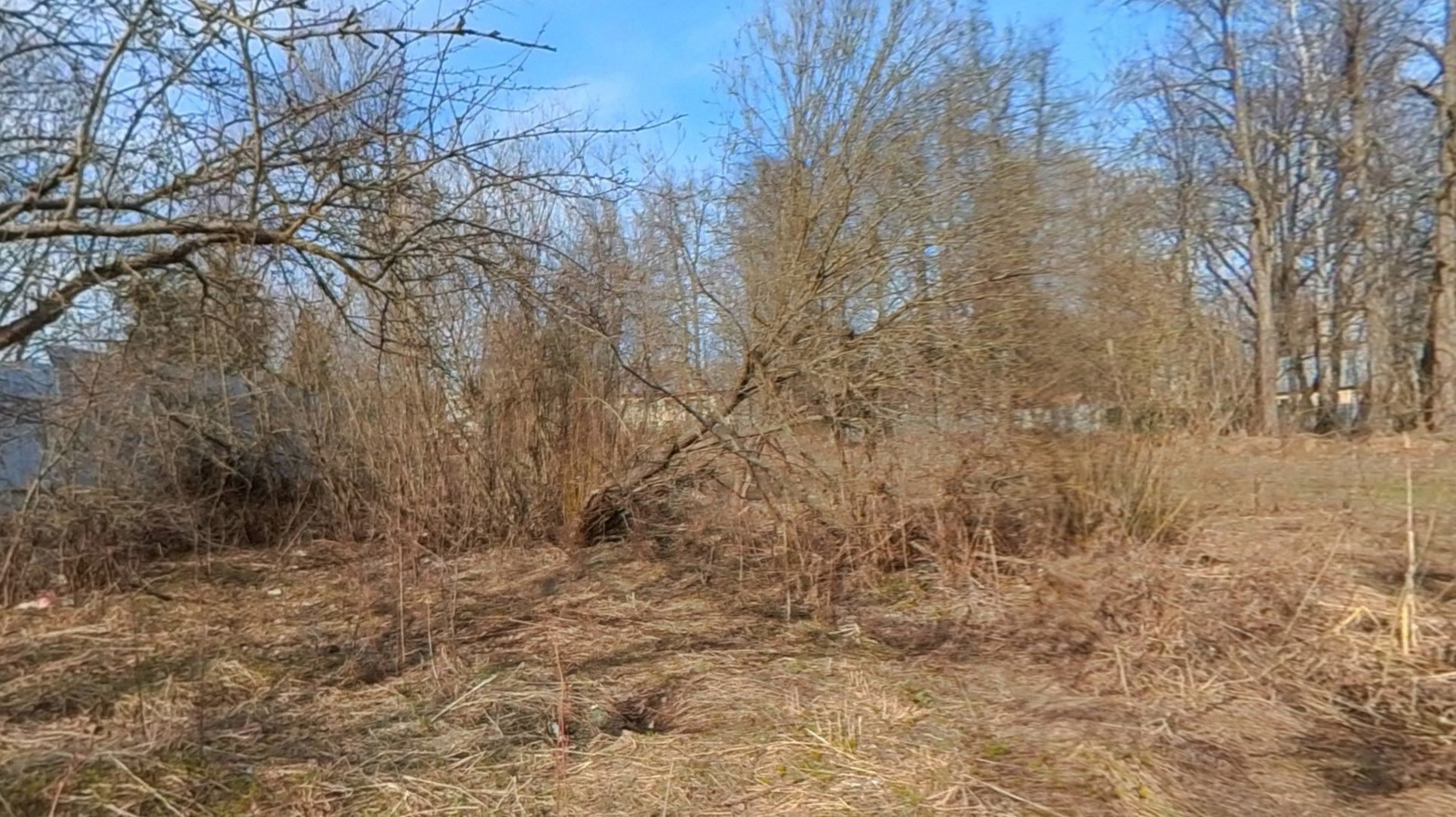 ГП16927590.Земельный участок.Общий вид объекта_3.jpg