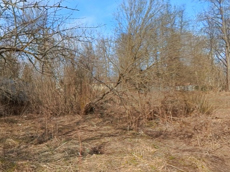 ГП16927590.Земельный участок.Общий вид объекта_3.jpg