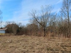 ГП16927590.Земельный участок.Общий вид объекта_5.jpg