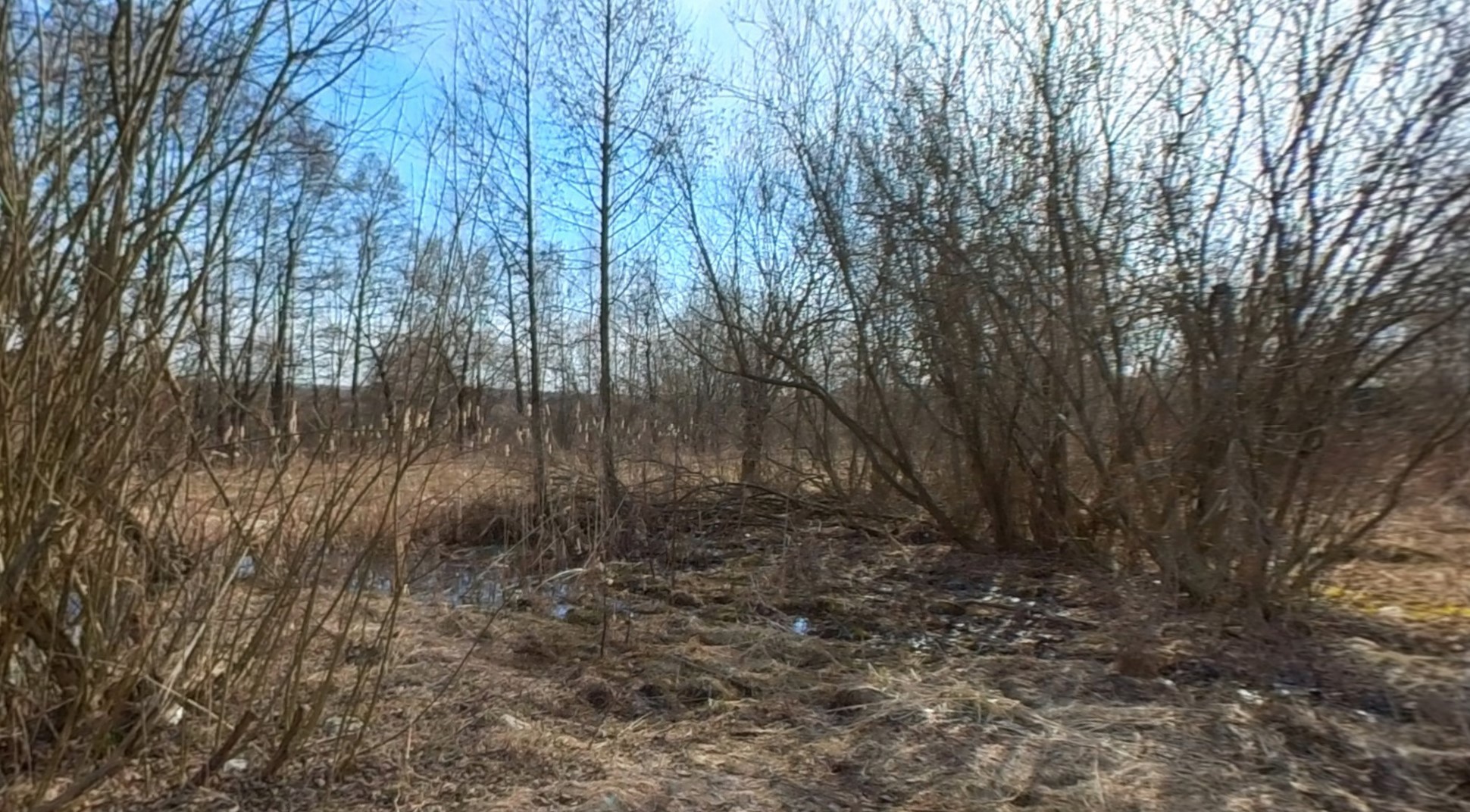 ГП16927590.Земельный участок.Общий вид объекта_8.jpg