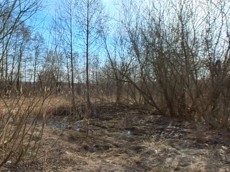 ГП16927590.Земельный участок.Общий вид объекта_8.jpg