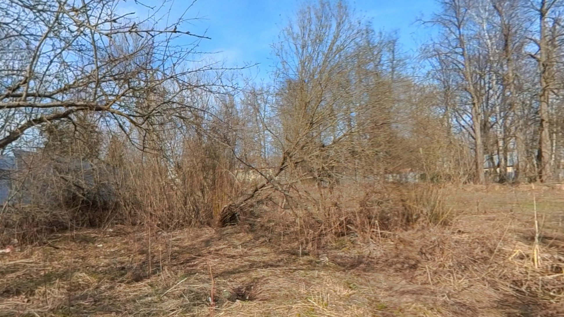 ГП16927590.Земельный участок.Общий вид объекта_6.jpg