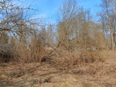 ГП16927590.Земельный участок.Общий вид объекта_6.jpg