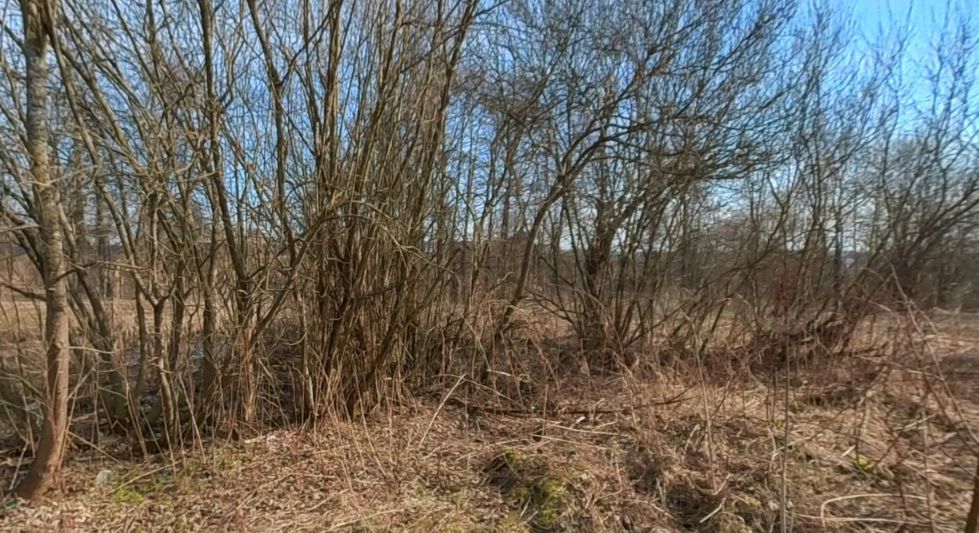 ГП16927590.Земельный участок.Общий вид объекта_4.jpg