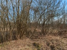 ГП16927590.Земельный участок.Общий вид объекта_4.jpg