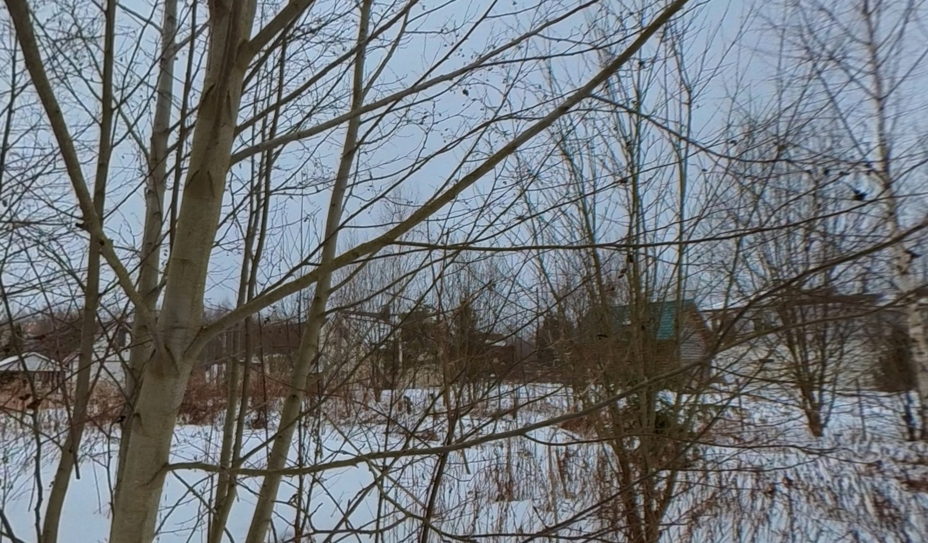 ГП16923720.Земельный участок.Общий вид объекта_8.jpg